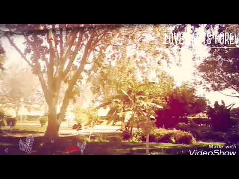 ليه اللي يحب بزياده