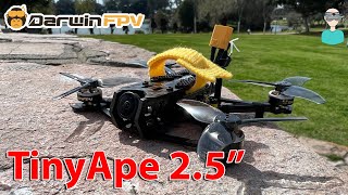 DarwinFPV TinyApe 2.5' Micro ELRS Drone