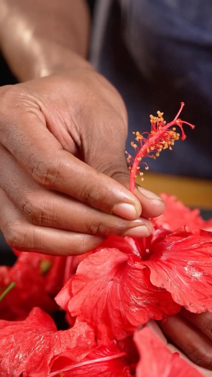 Weight loss Hibiscus ? Juice #shorts