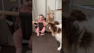 Baby girl laughing border collie puppy dog so happy #baby #babygirl #bordercollie #babygiggles #dog