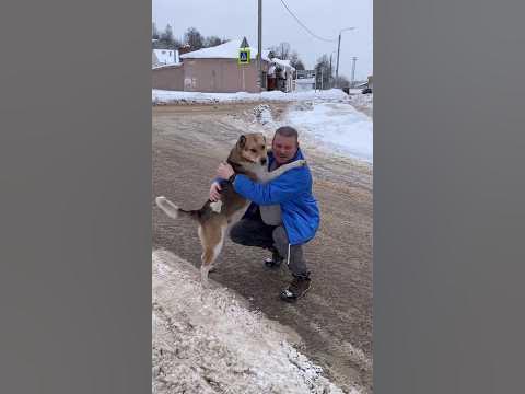 Папа приехал. - YouTube