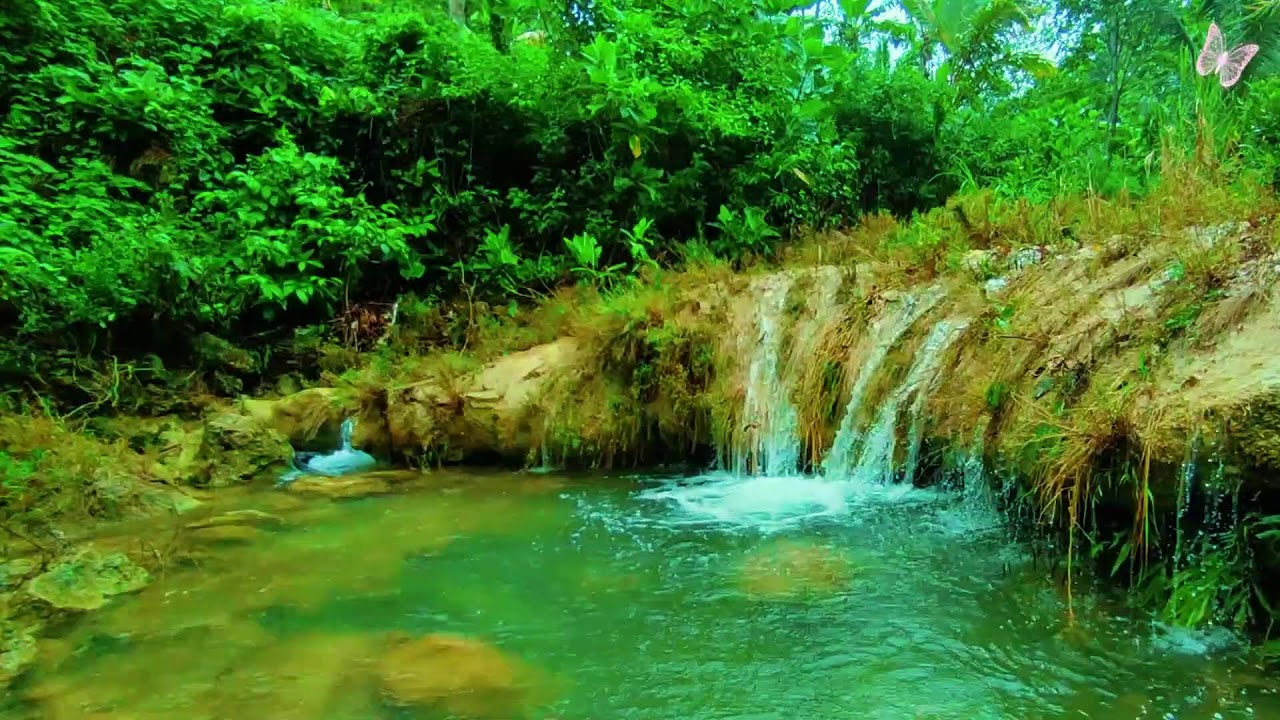 Stress Relief Music 🌿 Relaxing Sleep Music for Anxiety & Depression, Healing Calm Mind 1