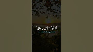 ماهر المعيقلي كرومات سورة المائدة #القرآن_الكريم