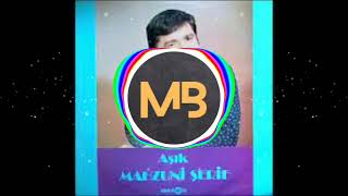 Mahzuni Şerif - Deli Miyim Ben? Resimi