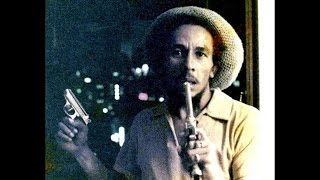 RARE BOB MARLEY INTERVIEW SPEAKING ABOUT BABYLON WHITE SUPREMACY