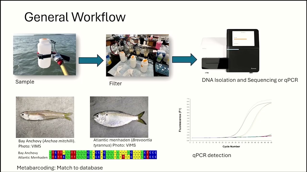 2025 Forum: eDNA in Marine Systems; Applications for the Mid-Atlantic