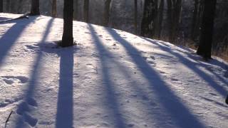 Kretinga 20160116 1