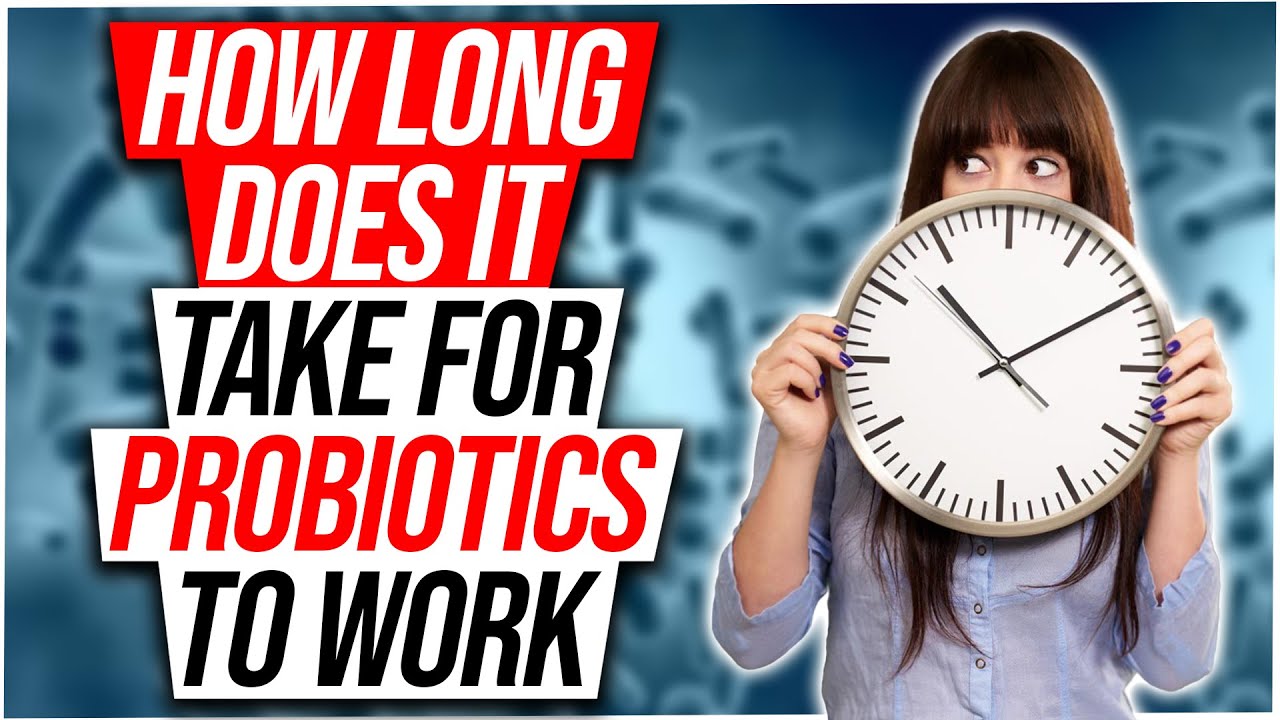 How Long Does It Take For Probiotics To Work? - How Probiotics Work