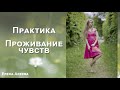 Практика на проживание негативных чувств. Елена Алеева