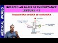 Transfer RNA for NEET AIIMS JIPMER | MOLECULAR BASIS OF INHERITANCE | PART 13