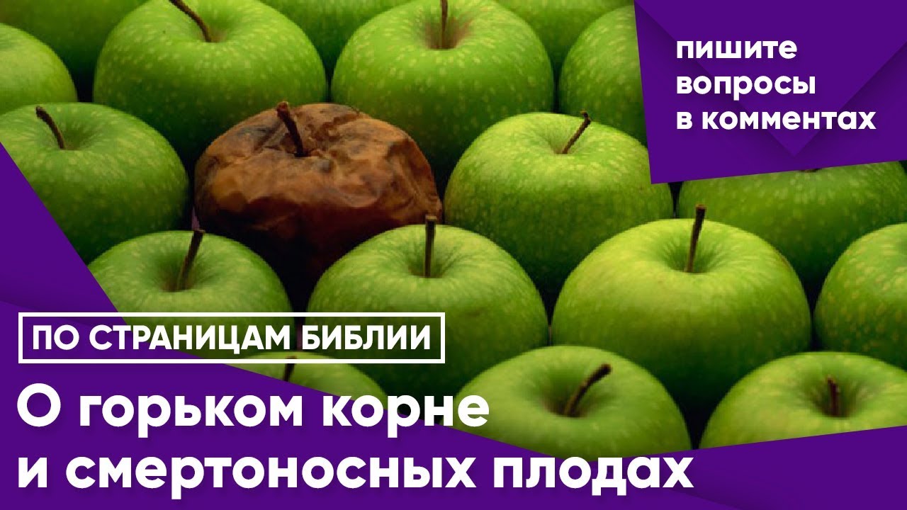 Корни образования горькие но плоды. Горькие плоды сладкой жизни. Горькие плоды сладкой жизни картинки. Горькие плоды сладкой жизни презентация. Плакаты горькие плоды сладкой жизни-.