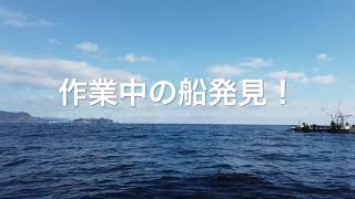 20190214 生わかめ漁making