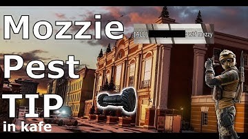 Mozzie Pest Tip and drone spot in kafe - Rainbow Six Siege