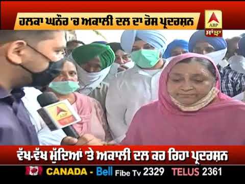 Spurious Liquor Case - After 121 Deaths,SAD Targets Govt On Rajpura Factory | ABP Sanjha |