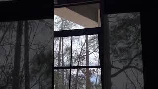 Eze Breeze windows 101