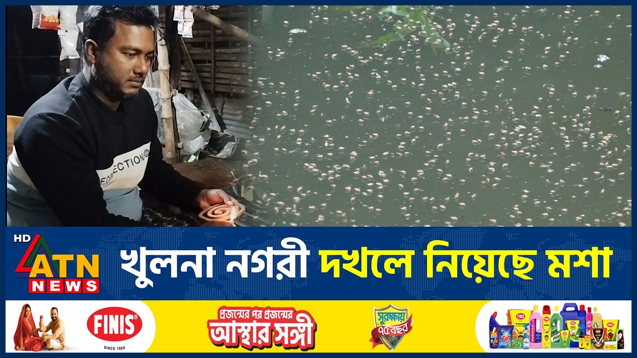 খুলনায় মশার উপদ্রবে অতিষ্ঠ নগরবাসী | Khulna | Mosquito Infestation | ATN News