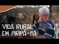 A vida rural em Piripá, no sertão da Bahia - Matheus Boa Sorte.