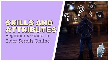 What the heck do I put skill points into?! // Beginner