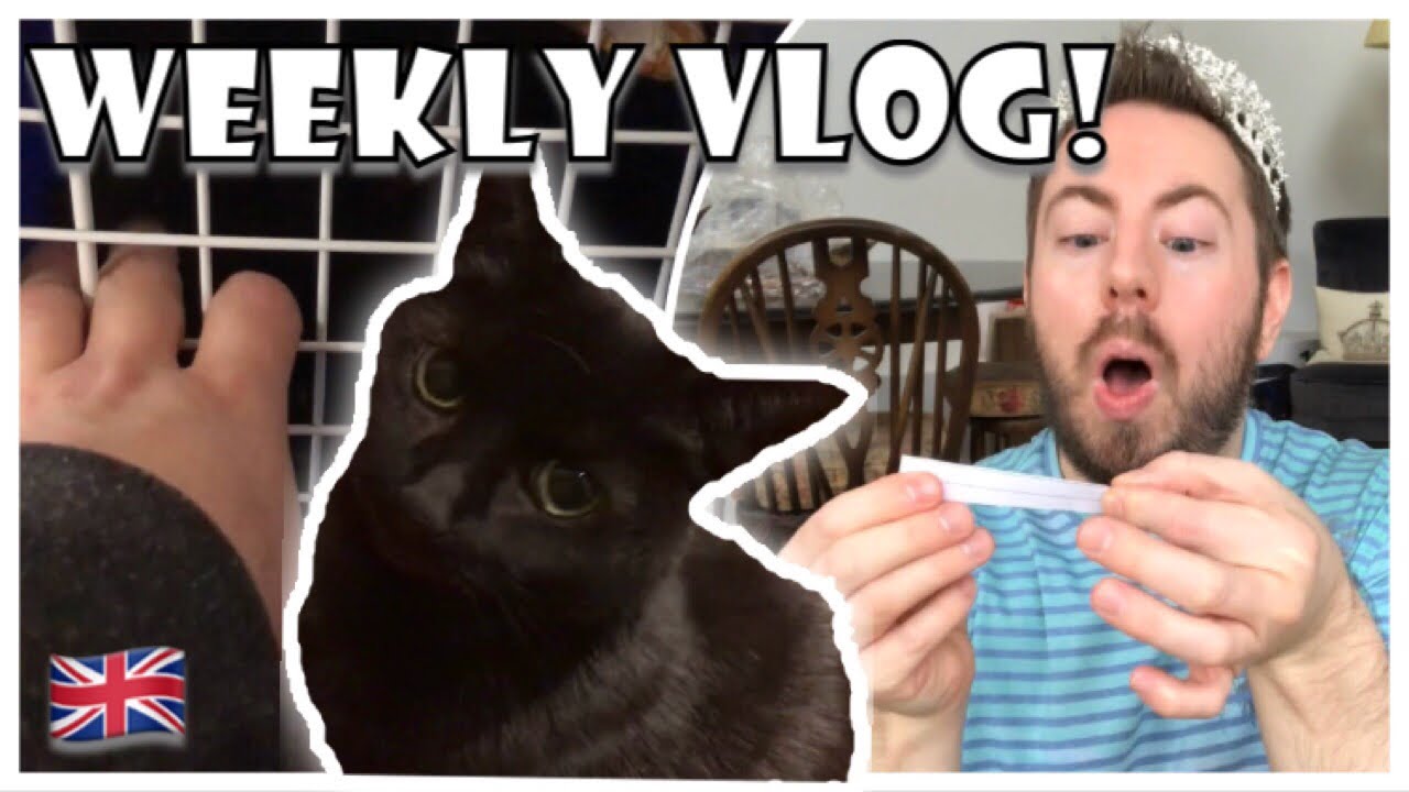 MOLLY UPDATE! & BRITISH LIFE | WEEKLY VLOG! | ROYAL REVIEWER