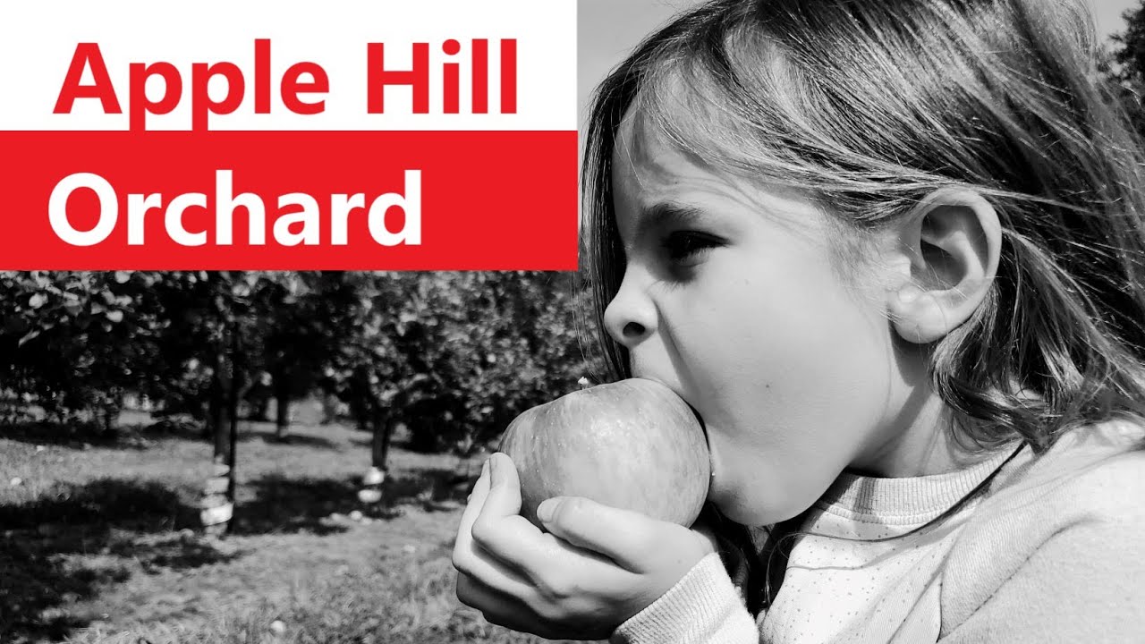 The Perfect Apples Apple Hill Orchard Mansfield Ohio Youtube