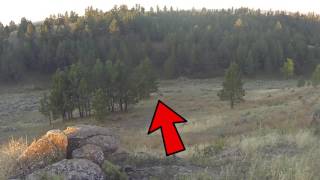 Wyoming Big Bull Elk Hunt @ SKYLINE OUTFITTERS