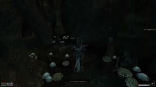 Morrowind Lore Is Incredible Thanks To The Voices of Vvardenfell Mod