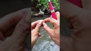 Ikan melimpah Mancing makin Betah‼️