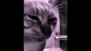 Cowbell Warrior (Instrumental)