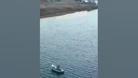 آيات من الذكر الحكيم