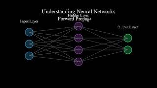 Neural Networks Visualized in Under 2 Minutes