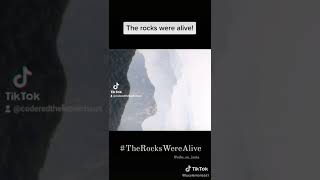 Rocks were alive, Rise up again