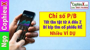 P/B LÀ GÌ?  -- P/B bao nhiêu là RẺ để X2 tài sản? -- Tất tần tật từ A đến Z? -- Các BẪY P/B