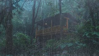 Eliminate stress to fall asleep quickly with torrential rain and thunder on the roof - Rain Sounds by Colección De Sonido 5,879 views 2 weeks ago 22 hours