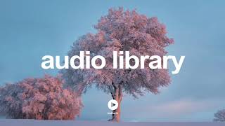 Intended Force by Kevin MacLeod | No Copyright Music YouTube - Free Audio Library