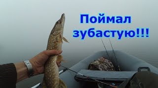Поймал зубастую щучку впервые на троллинг / I caught a toothy pike for the first time in trolling.