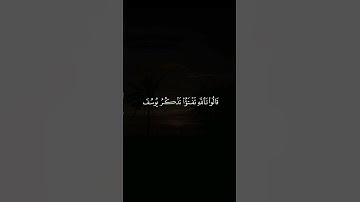 فصبر جميل | سورة يوسف - القارئ : سعود الفايز #سعود_الفايز  #سورة_يوسف #قران_كريم #قرآن