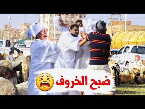 المكنة مقلب ضبح الخروف