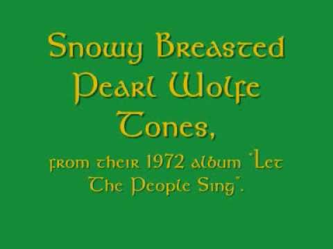 Snowy Breasted Pearl - Wolfe Tones