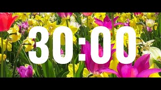 30 minute timer - Spring Background🌹🌹