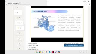 картинка: 23 сентября 2025 г.