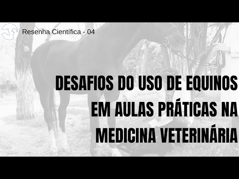 Vídeo: Desafios De Diagnóstico Na Prática Veterinária - Pense Em Cavalos, Não Em Zebras