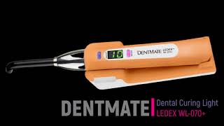 LEDEX Max 120 Curing Light