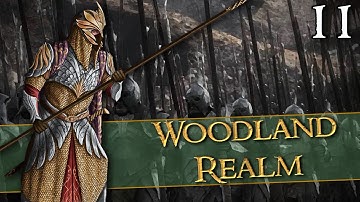 FACING THE DOOMSTACK OF DOL GULDOR - Third Age: Total War [DAC AGO] - Woodland Realm - Chapter 11
