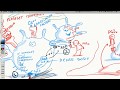 COVID-19 Insights: Epoprostenol (for hypercoagulability or clotting)