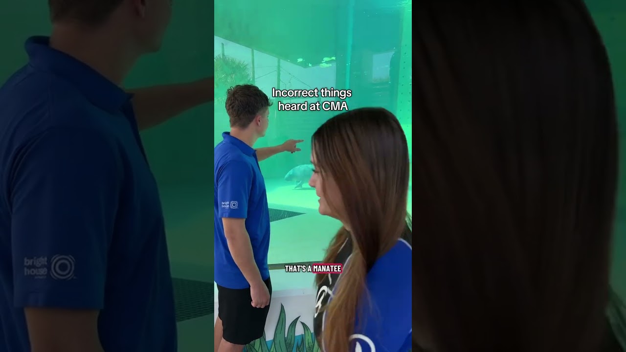 Подслушано в CMA...