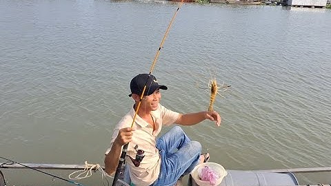 Câu tôm càng xanh,dắt vợ đi bè trải nghiệm câu tôm | vui miền tây vlog