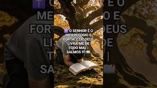 ✝️ DEUS GUARDA-ME DE TODO MAL | O SENHOR É O MEU REFÚGIO E FORTALEZA 📖 SL 91, CURTA E COMPARTILHE! 👤
