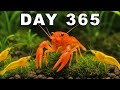 Lake Ecosystem Quiz
