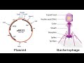 Vector as a tool of Recombinant DNA technology