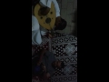 معتصم السيوف / احمد السيوف جتني ودمعها تناثر على الخد